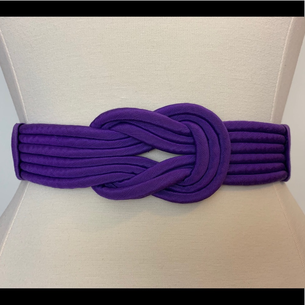 Gorgeous Purple Clasp Waist Belt